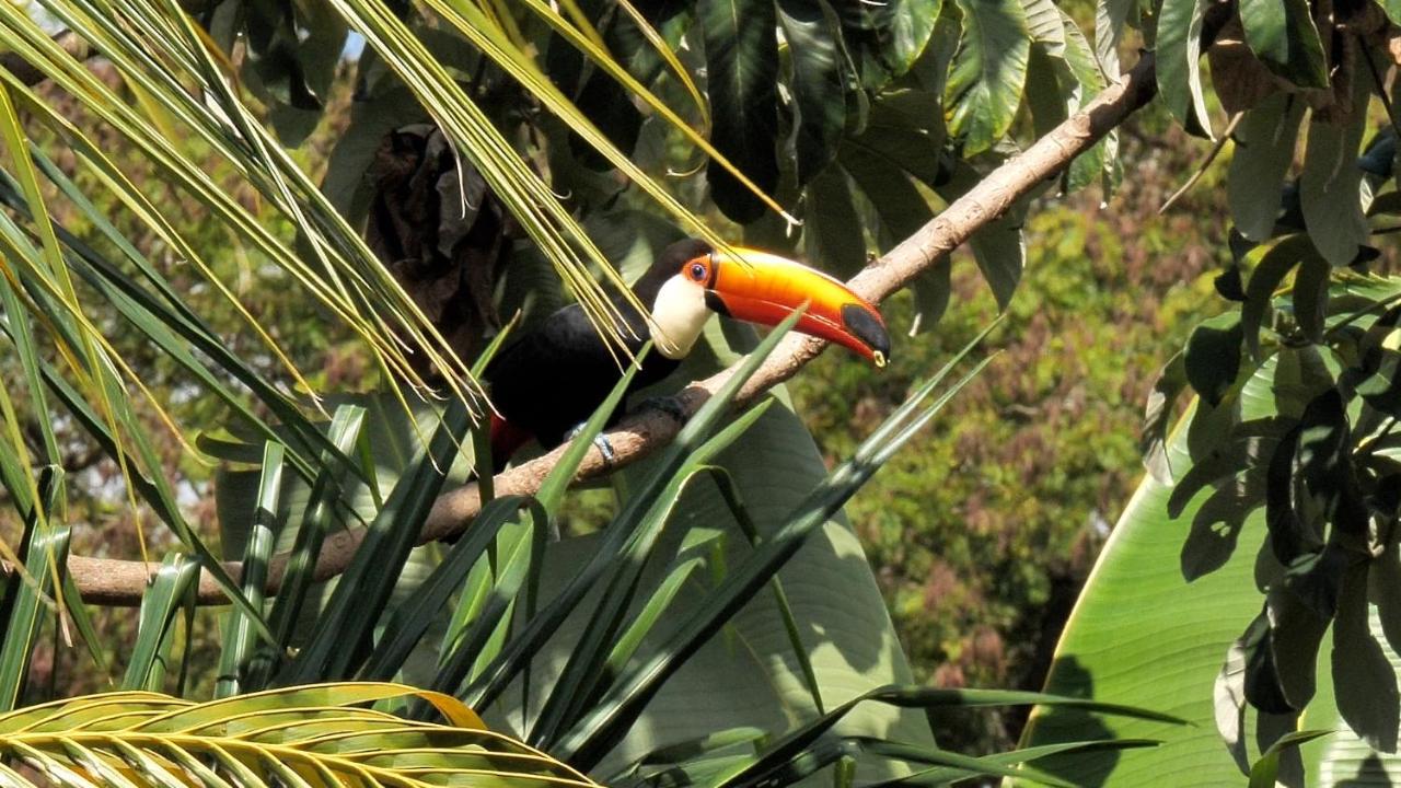 Pousada Surucua - Bonito Ms Buitenkant foto